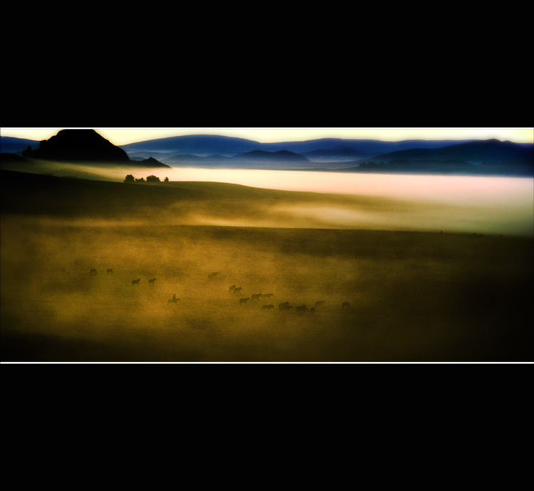 _V9A0056.jpg