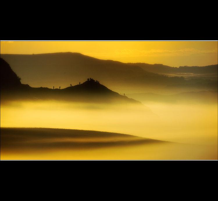 _V9A7131.jpg