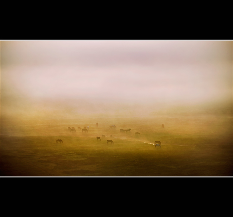 _V9A7271.jpg