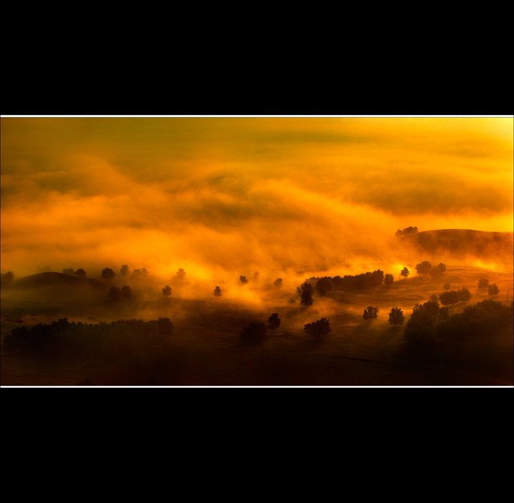 _V9A7824.jpg