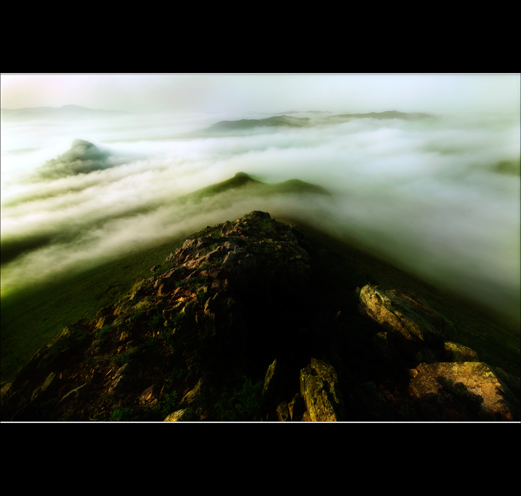 _V9A7920.jpg