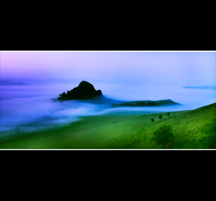 _V9A7737.jpg