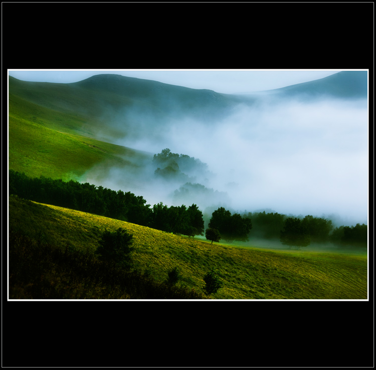 _V9A7805.jpg