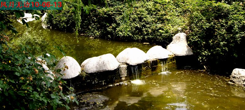 _DSC1062.jpg