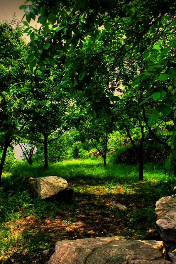 _MG_0816h.jpg