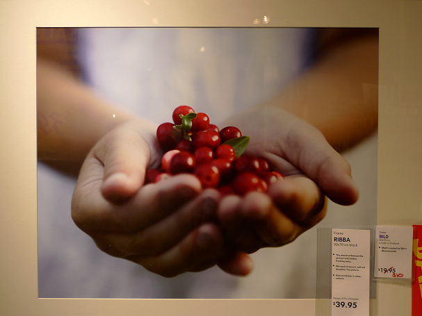 P1120747_2.jpg