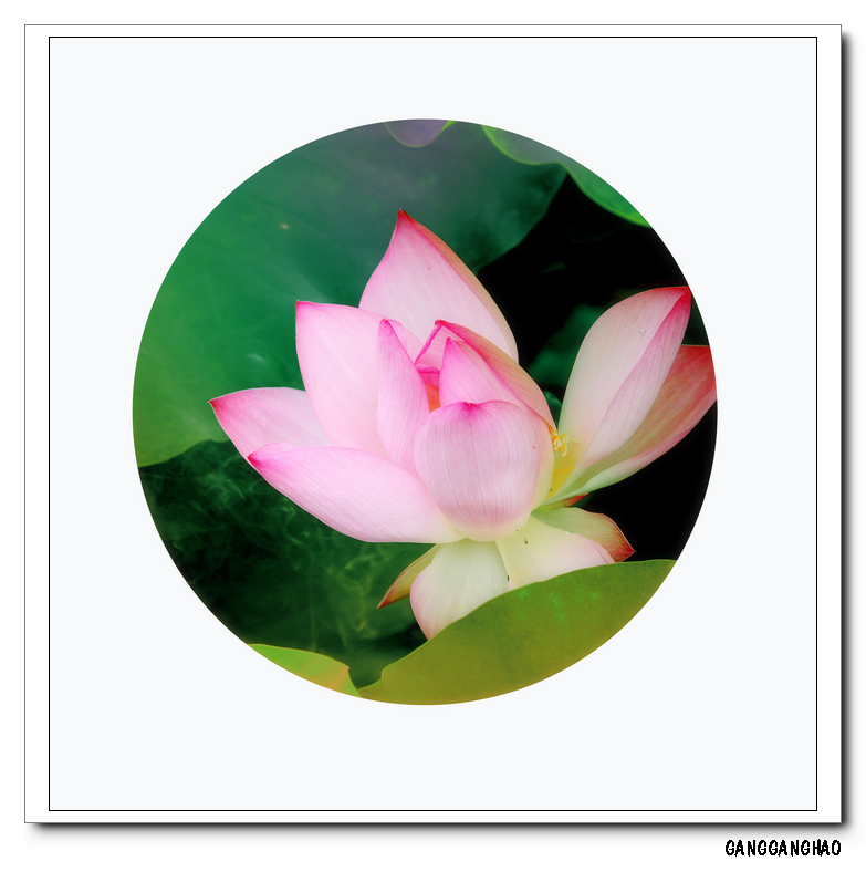 nEO_IMG_IMG_3330.jpg