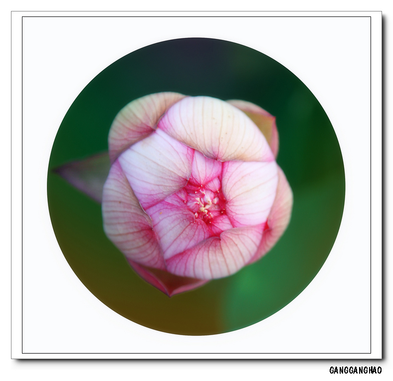 nEO_IMG_IMG_30171.jpg