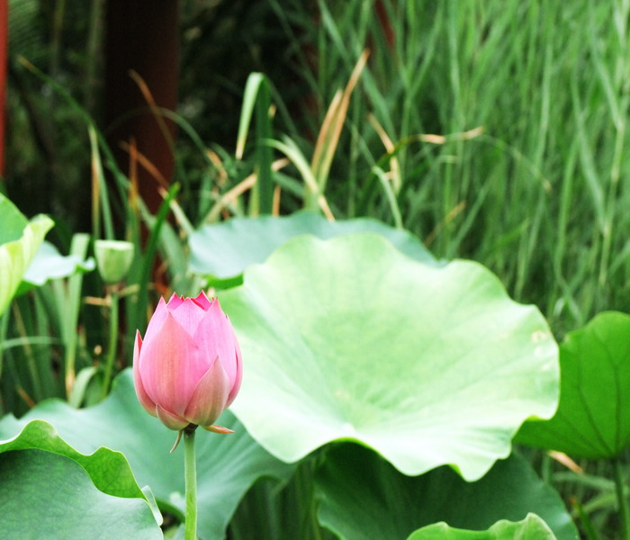 DSCF6969_conew2.jpg