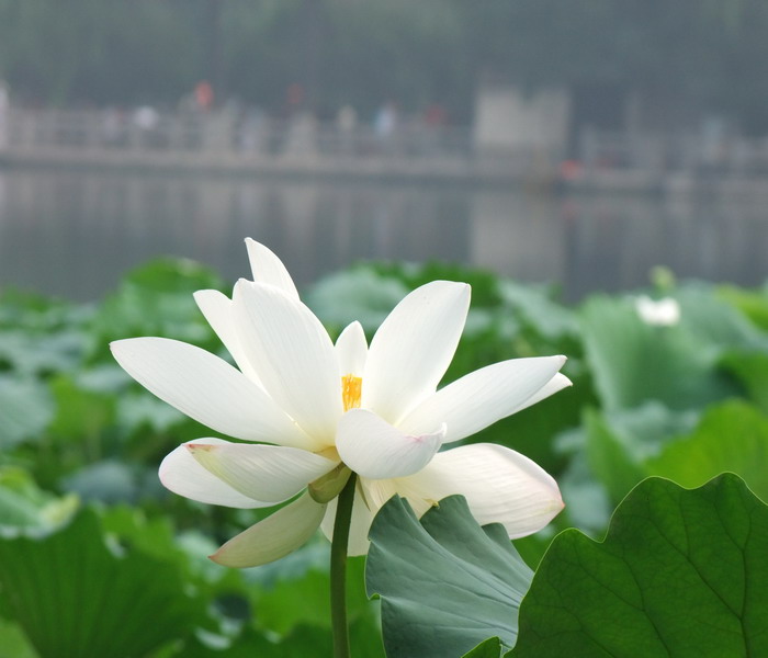 DSCF7181.jpg