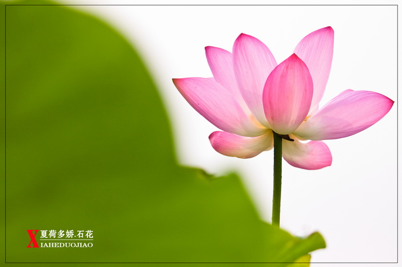_MG_8935.1_调整大小.jpg