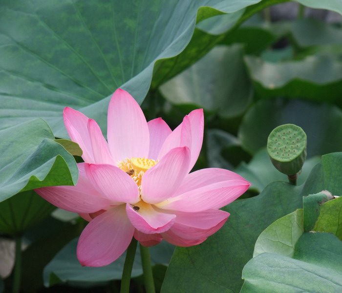 DSCF7102.jpg