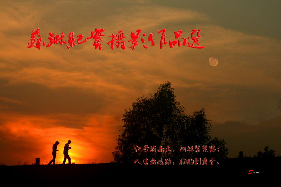 IMG_7567PF.jpg