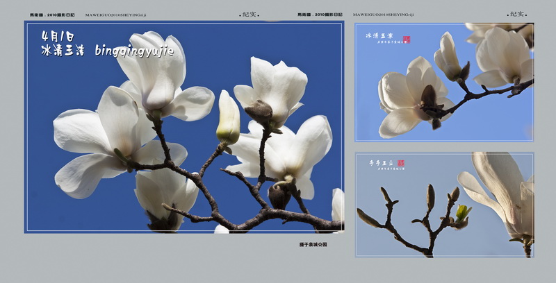 04.01._调整大小.jpg