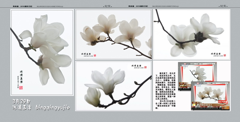 03.29_调整大小.jpg