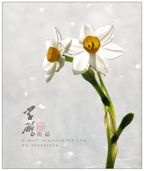 nEO_IMG_DSC_0077_调整大小.jpg