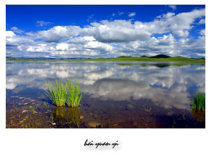 20100126_412b97fa1693b921403bG9L1sZKPW8sq.jpg