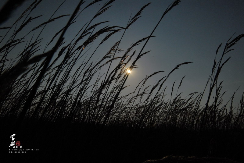 DSC_0066_调整大小.jpg
