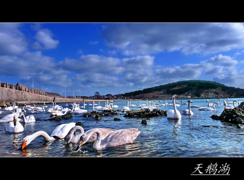 11111111111jpg_调整大小.jpg