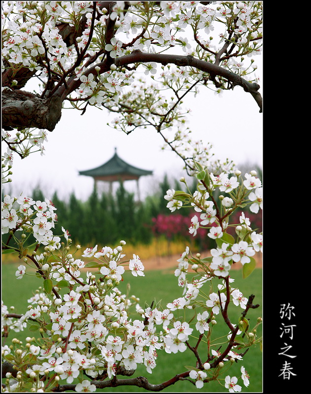 春_调整大小.jpg