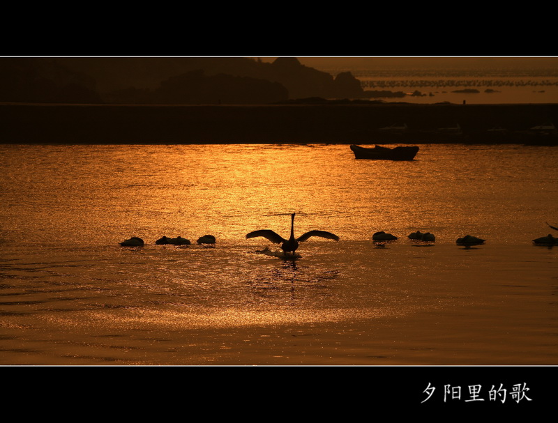 IMG_5873副本_调整大小.jpg