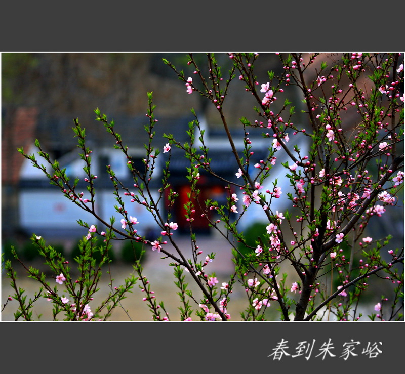 _Z3Z4329_调整大小.jpg