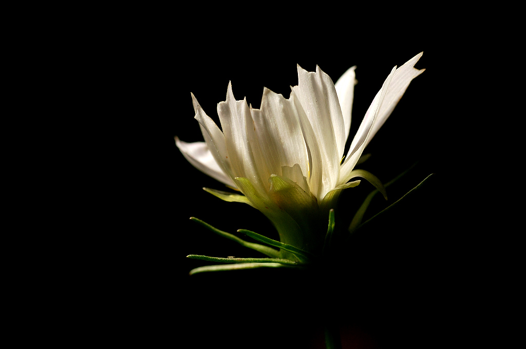 DSC_0028.jpg
