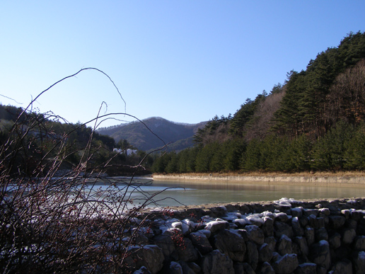 29-晁冰婴-PC150236.JPG
