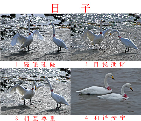25-李之月-日子.jpg