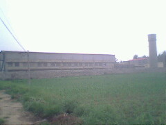 IMG0802A_01.jpg