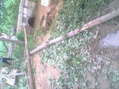 IMG0798A_01.jpg