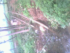 IMG0796A_01.jpg