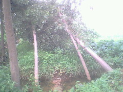 IMG0770A_01.jpg