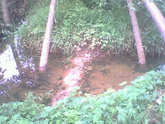 IMG0772A_01.jpg
