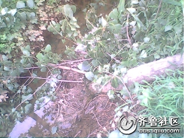 IMG0792A.jpg