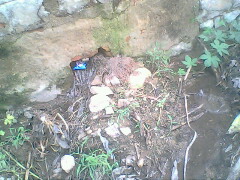 IMG0805A_01.jpg