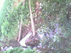 IMG0780A_01.jpg