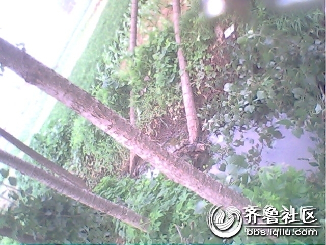 IMG0789A.jpg