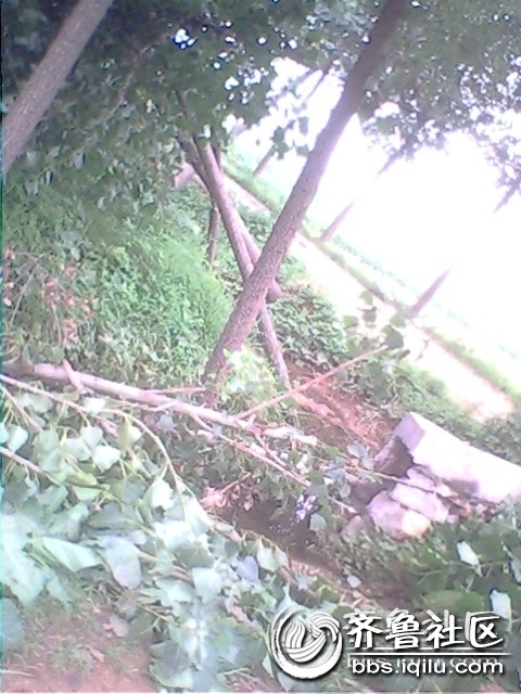 IMG0779A.jpg
