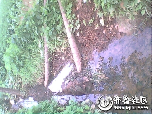 IMG0776A.jpg