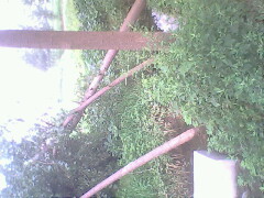 IMG0768A_01.jpg