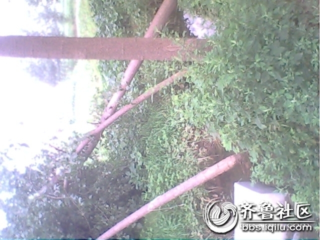 IMG0768A.jpg