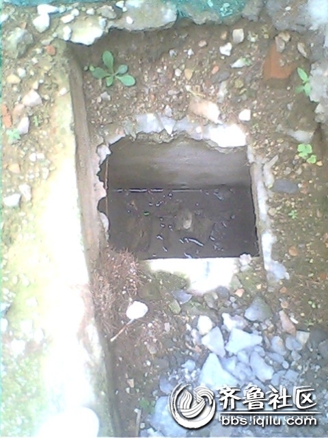 IMG0847A.jpg
