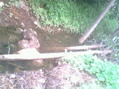 IMG0787A_01.jpg