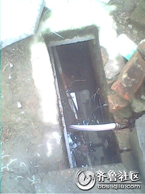 IMG0844A.jpg
