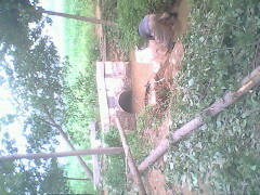 IMG0797A_01.jpg