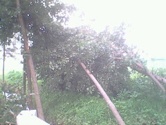 IMG0769A_01.jpg