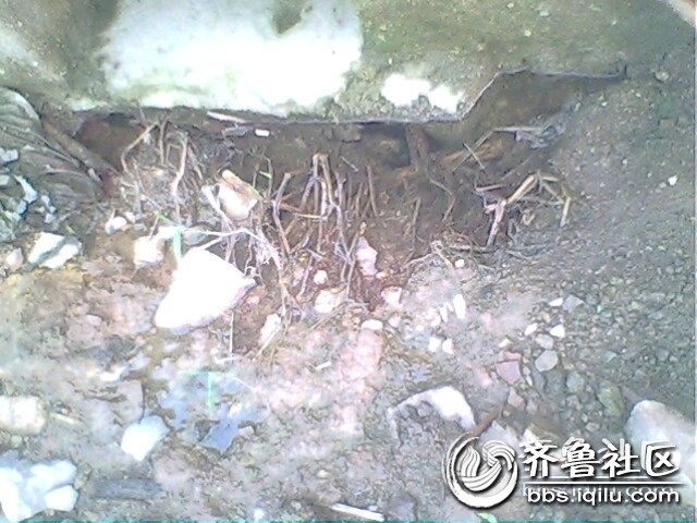 IMG0807A.jpg