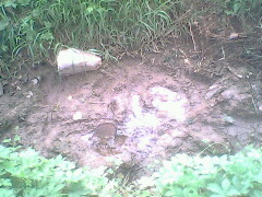 IMG0815A_01.jpg