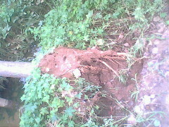 IMG0774A_01.jpg